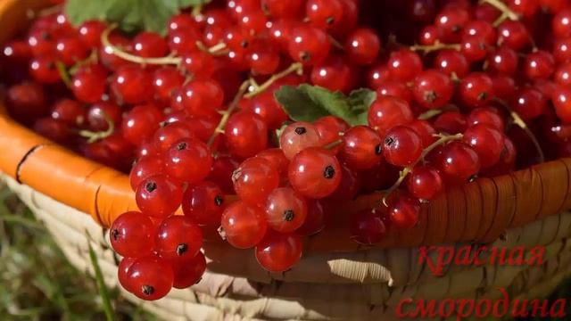 Ах лето красное! смотреть онлайн