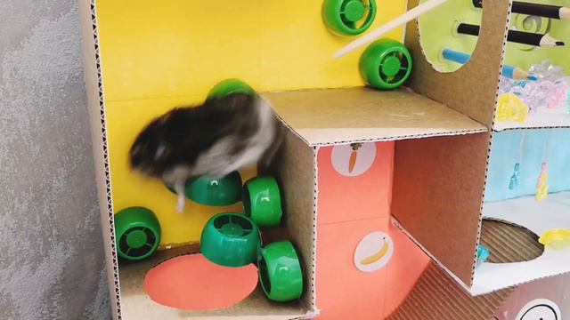 DIY. my funny hamster in the maze TETRIS. хомяк в лабиринте Tetris смотреть онлайн