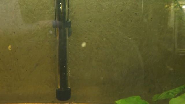 Нагреватель AQUAEL PLATINIUM HEATER 100 Вт для аквариума 60 - 100 л (стеклянный, регулируемый) смотреть онлайн