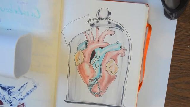 Speeddraw. Рисование маркерами. Анатомическое сердце в банке к 14 февраля.