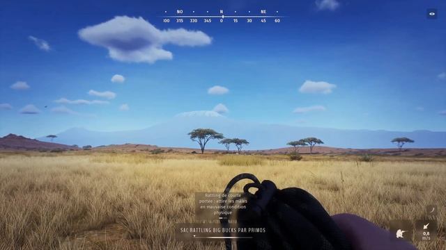 WAY OF THE HUNTER TIKAMOON PLAINS GAMEPLAY #37 UNE CHASSE DANGEREUSE EN AFRIQUE ! смотреть онлайн