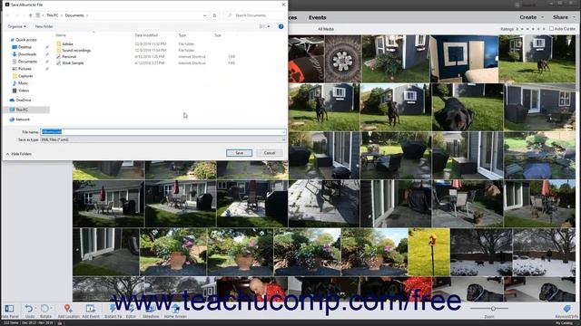 Learn How to Manage Albums in Adobe Photoshop Elements 2023: A Training Tutorial смотреть онлайн