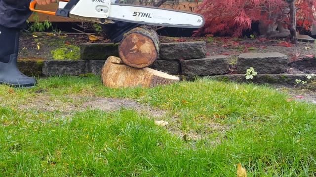 STIHL MS 390 TEST CUT ENGINE: 64cc смотреть онлайн