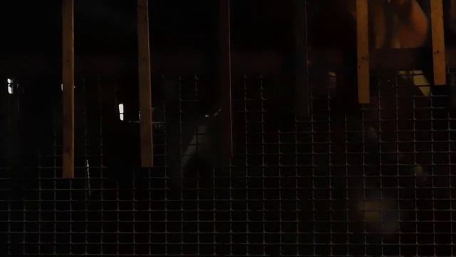 Как напоить корову лекарством смотреть онлайн