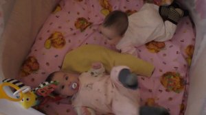 Какой манеж лучше? Chicco или Фея