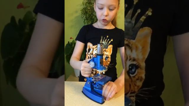 Детский микроскоп (обзор) смотреть онлайн