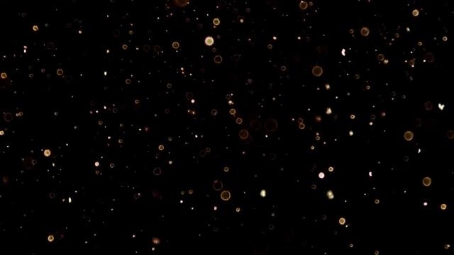ВЯЛЫЕ МИНИ-ОБНОВЫ, СТРАННАЯ СН2, ВЕРСАЛЬ ПОКОРЯЕТ ФАНДОМ, ШИКАРНАЯ ОБНОВА ЛМ смотреть онлайн