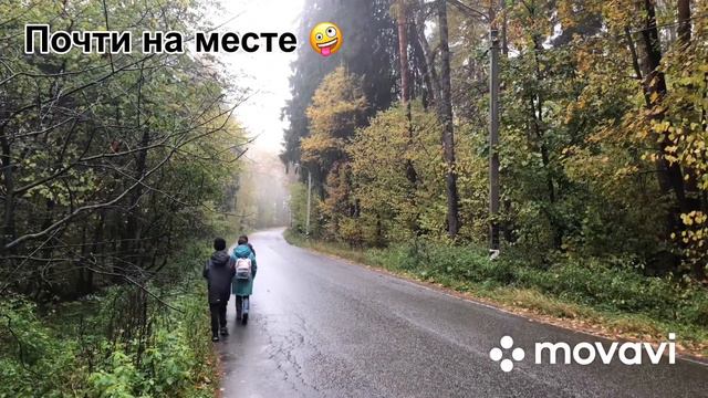 Станция Фирсановская. Киногород. Путь по улице Мцыри, лесу, рекам и туманной дороге осени 🍂🍁 смотреть онлайн