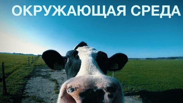 Мотивационное видео смотреть онлайн