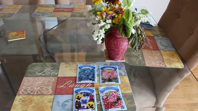 Discussing Dollar Tree Direct Fall Sown Hardy Annual Cut Flower Seeds ~ Ep 71 смотреть онлайн