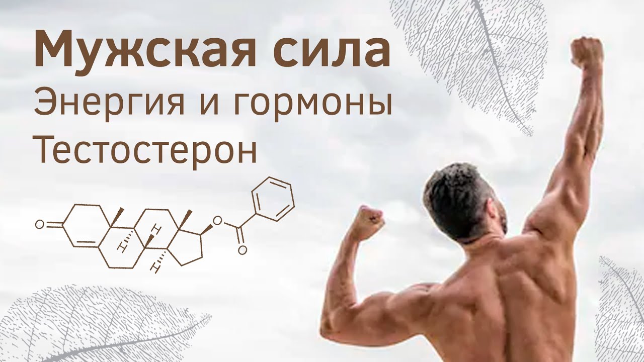Как повысить тестостерон у мужчин естественным способом. За что отвечает тестостерон. смотреть онлайн