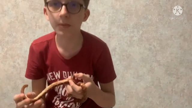 Как отличить гадюку от ужа смотреть онлайн