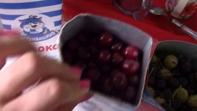 Летний ВЛОГ: подарки сыну, ягоды на зиму, коты. смотреть онлайн