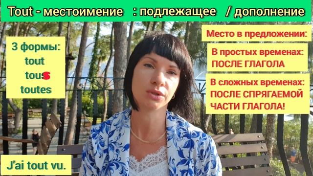 TOUT: существительное, прилагательное, местоимение, наречие. Уроки французского языка. смотреть онлайн