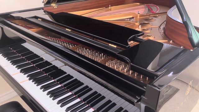 Steinway SPIRIO R: Phantom of the opera смотреть онлайн