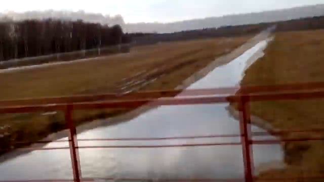 Рыба и Друзья