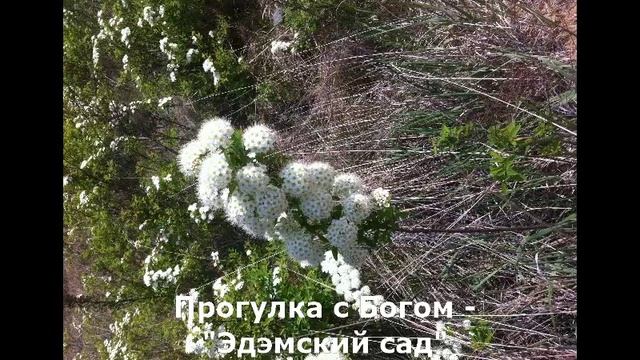 Прогулка с Богом - "Эдемский сад" смотреть онлайн