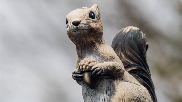 Canon EOS 7D MK II смотреть онлайн