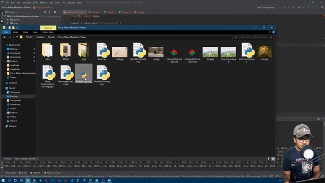 Find All Colors from an Image | PIL Module смотреть онлайн