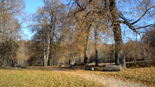 Талашкино усадьба (Смоленск) смотреть онлайн