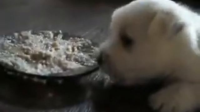 Завтрак =) смотреть онлайн