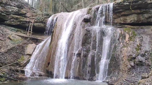 Поход на Каверзинские водопады или один день из жизни собаки | январь 2023 смотреть онлайн