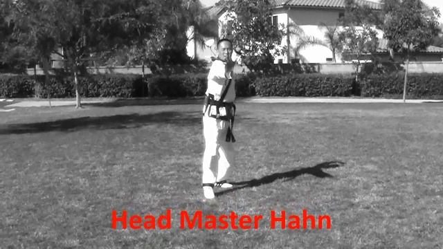 Hapkido Forms 1 - 5 смотреть онлайн
