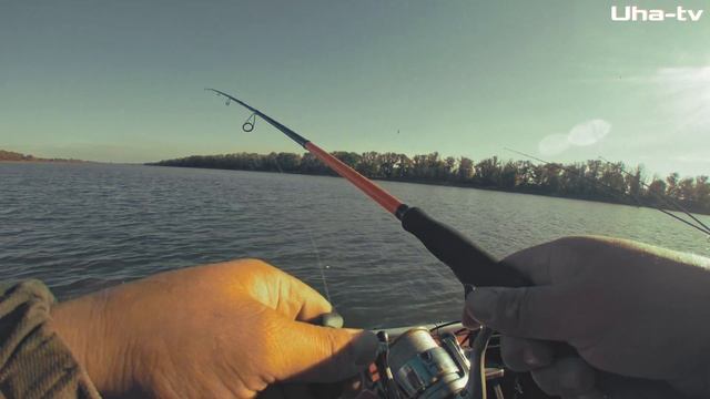 ВОДЫ нет, а МЫ ЛОВИМ СУДАКА, ЖЕРЕХА и ЩУКУ. Осенняя рыбалка в Астрахани 2021 смотреть онлайн
