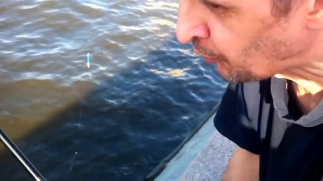 Ловля плотвы в центре Москвы. Москва река смотреть онлайн
