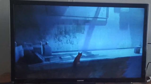 Я стал котом?! прохождение игры Stray. 1 часть. смотреть онлайн