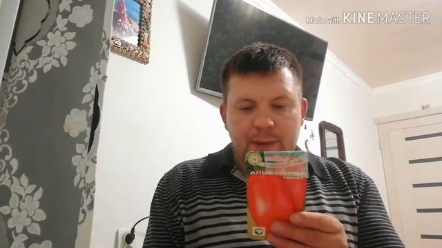 Томат Алые Свечи. смотреть онлайн