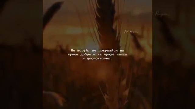 Что значит жить, как мусульманин. смотреть онлайн