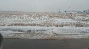 Посадка в аэропорту Новосибирск (Толмачёво). Airbus A321 neo.