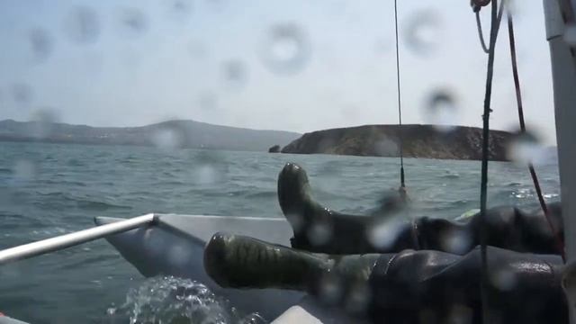 фильм Катамаран Волк -день море пляж и драйв [Владивосток 2021]Catamaran Wolf, day sea, beach, driv смотреть онлайн