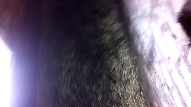 Снятие рабочего цилиндра сцепления passat b5 смотреть онлайн