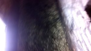 Снятие рабочего цилиндра сцепления passat b5