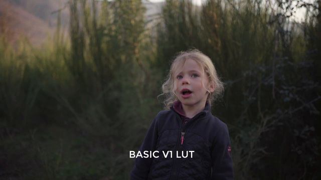 CINEMATIC LUTs For SONY SLOG3  | Sony A7S III A7S3 A7C A6400 A6600 A7R4