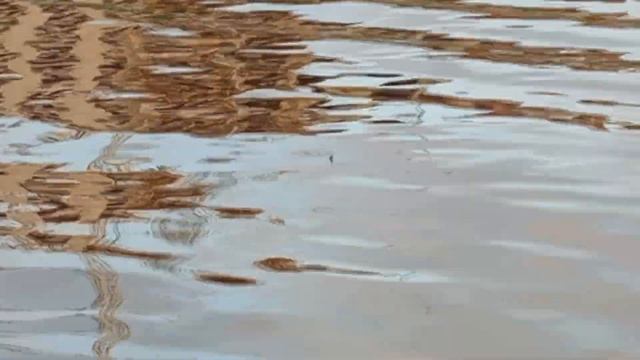 ЗАПРЕТНАЯ РЫБАЛКА В НЕРЕСТ НА ЛЕЩА! ПОЙМАЛ- ОТПУСТИЛ! ПОПЛАВОК И ДОНКА С БЕРЕГА ФРИКЦИОН АЖ ЗАТРЕЩА смотреть онлайн