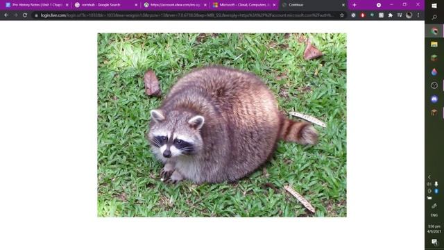 How to fix “failed to login: null” [Minecraft Java/Bedrock] смотреть онлайн