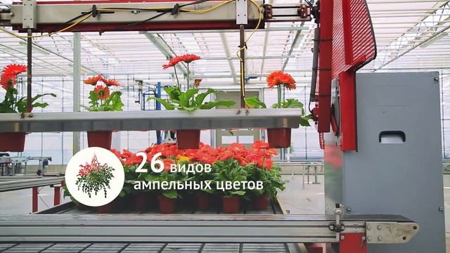 01 Agroholding Moscow смотреть онлайн