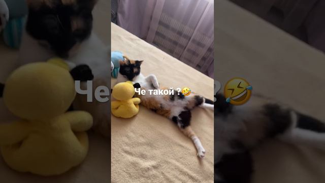 17 февраля 2023 г.