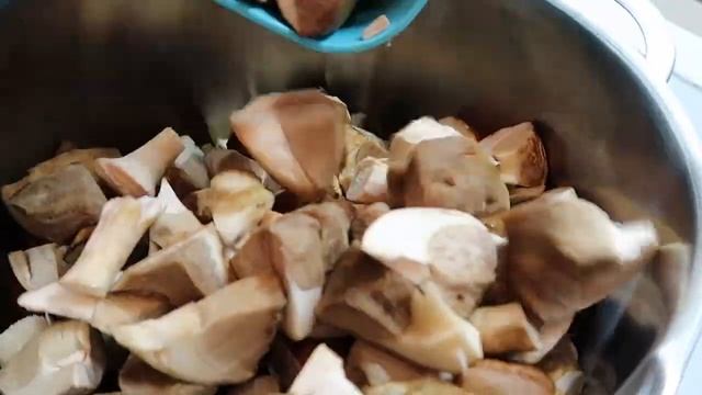 Подберезовики маринованные. Маринованные грибы рецепт на зиму. Рецепт маринованных грибов в банке смотреть онлайн