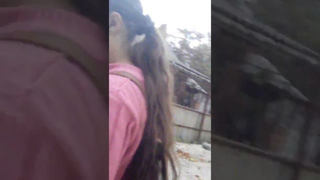 ВЛОГ))) едим на автобусе!.....Часть 2))))Конец. смотреть онлайн