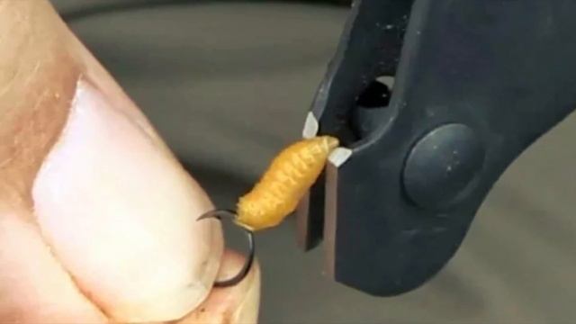 Зачем опытные рыбаки перед рыбалкой замачивают опарыша? смотреть онлайн