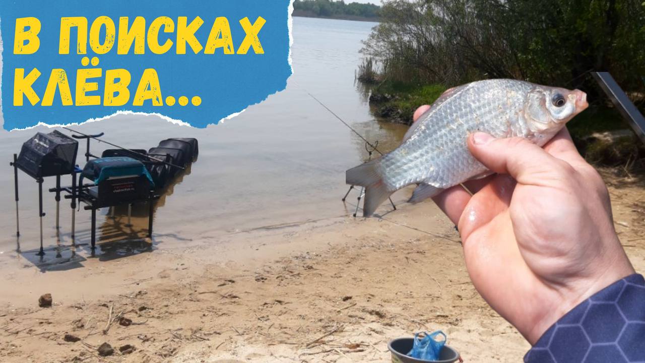 ВОТ ОНА-РЫБАЛКА! СТАВЛЮ МАКУШАТНИК И СНАСТЬ НА ПЕЛЕНГАСА. НОЧНОЙ ОТДЫХ ВОЗЛЕ КОСТРА. смотреть онлайн