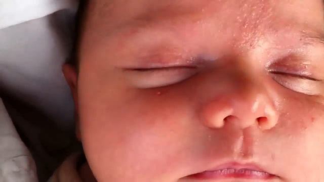 Little tiny dreams смотреть онлайн