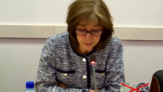 Выступление историка О.Н. Четвериковой на конференции "Огненный оскал зверя". смотреть онлайн