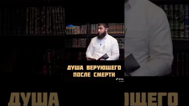 ДУША ВЕРУЮЩЕГО ПОСЛЕ СМЕРТИ смотреть онлайн