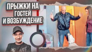 Прыжки на гостей и возбуждение(Лабрадор)