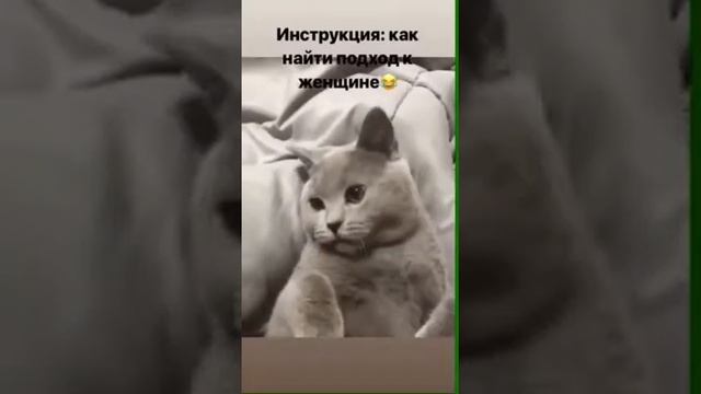 Вот что нужно чтобы привлечь женщин смотреть онлайн